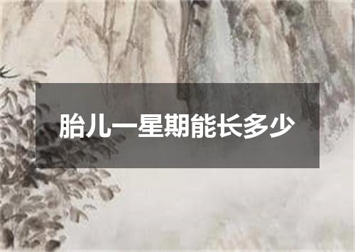 胎儿一星期能长多少