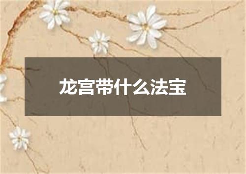 龙宫带什么法宝