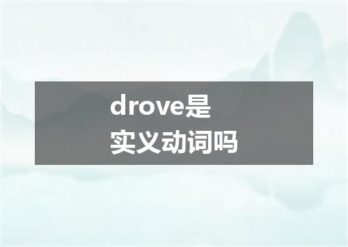 drove是实义动词吗