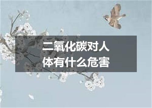 二氧化碳对人体有什么危害