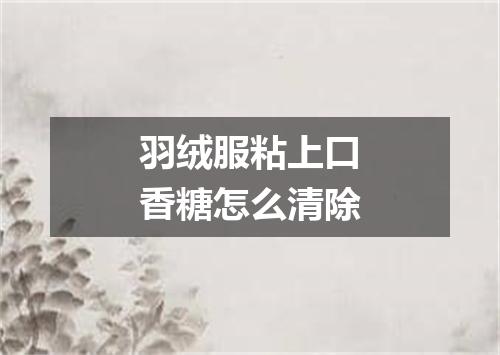 羽绒服粘上口香糖怎么清除