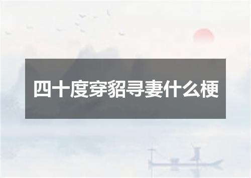 四十度穿貂寻妻什么梗