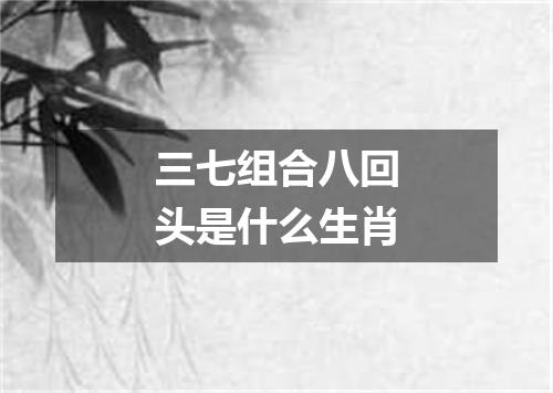 三七组合八回头是什么生肖