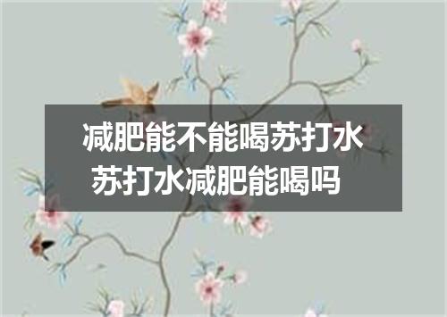 减肥能不能喝苏打水 苏打水减肥能喝吗