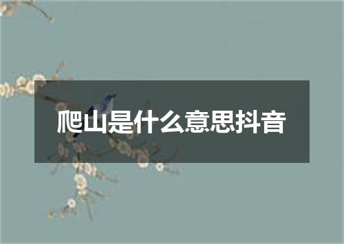 爬山是什么意思抖音
