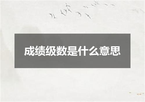 成绩级数是什么意思