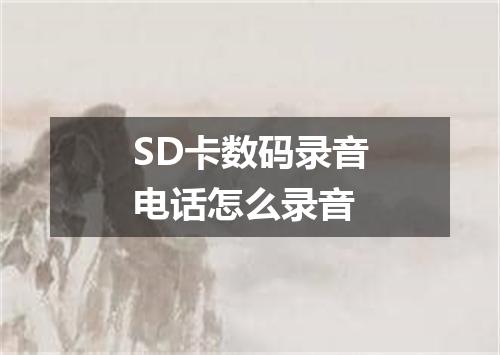SD卡数码录音电话怎么录音