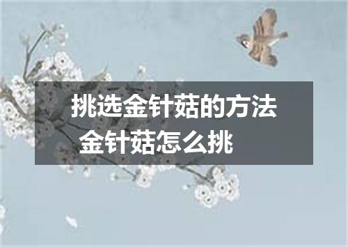 挑选金针菇的方法 金针菇怎么挑