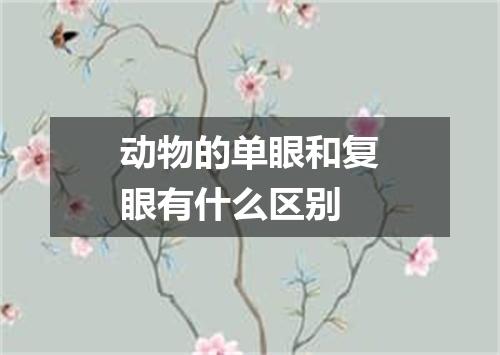 动物的单眼和复眼有什么区别