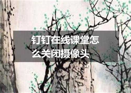 钉钉在线课堂怎么关闭摄像头