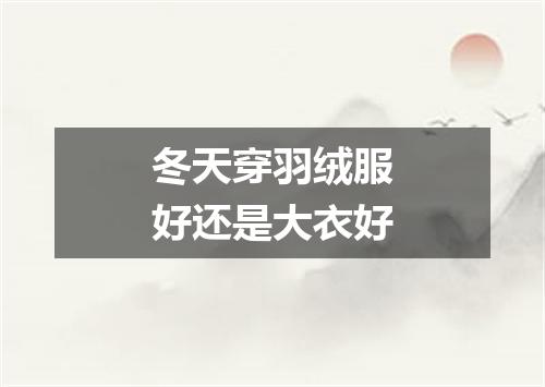 冬天穿羽绒服好还是大衣好