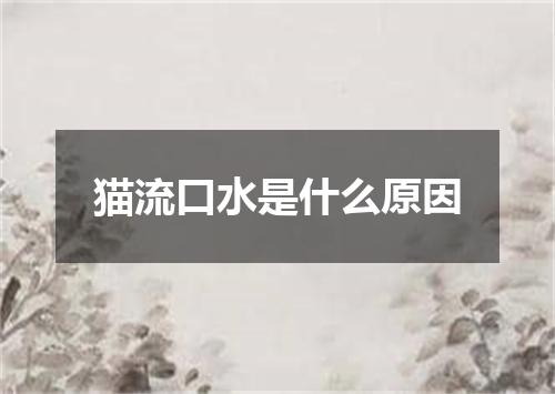 猫流口水是什么原因