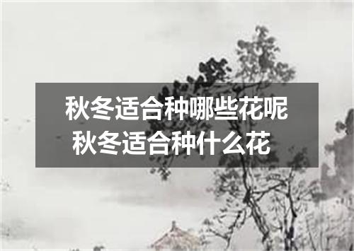 秋冬适合种哪些花呢 秋冬适合种什么花