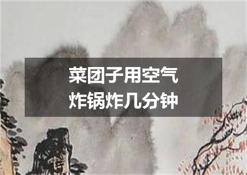 菜团子用空气炸锅炸几分钟