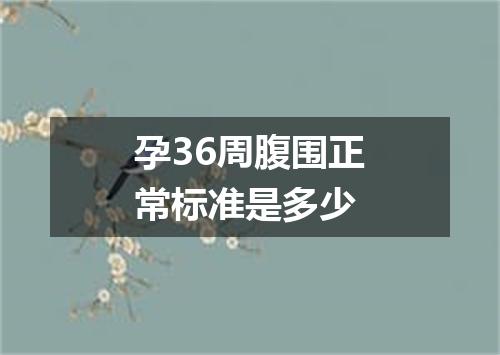 孕36周腹围正常标准是多少