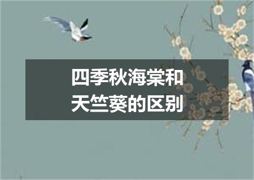 四季秋海棠和天竺葵的区别