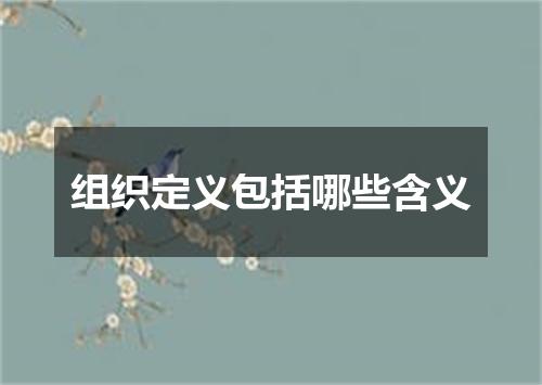 组织定义包括哪些含义