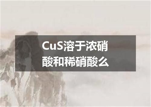 CuS溶于浓硝酸和稀硝酸么