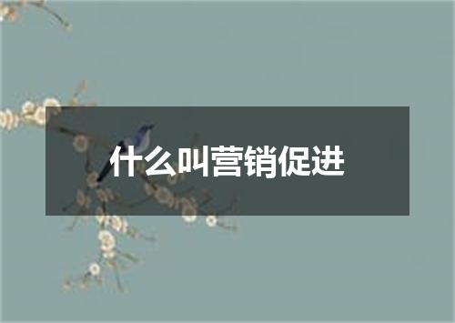 什么叫营销促进