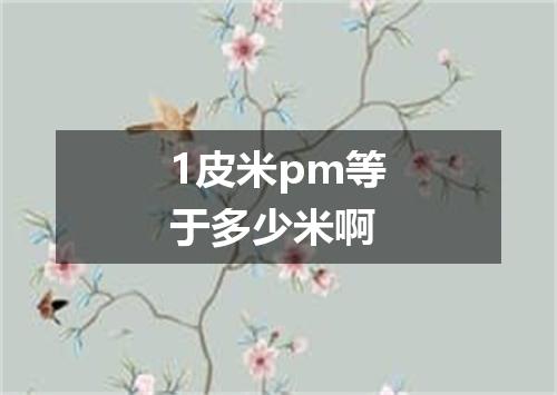 1皮米pm等于多少米啊