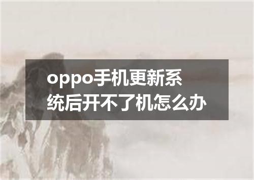oppo手机更新系统后开不了机怎么办