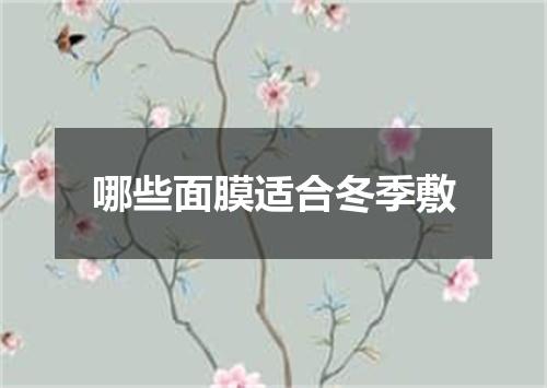 哪些面膜适合冬季敷