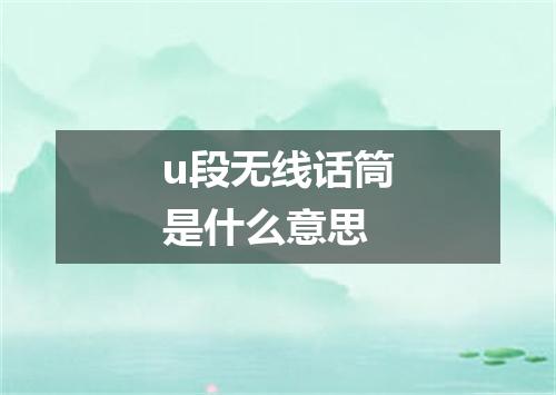 u段无线话筒是什么意思