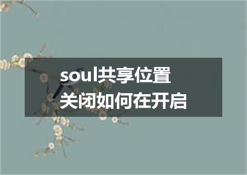 soul共享位置关闭如何在开启
