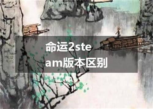 命运2steam版本区别