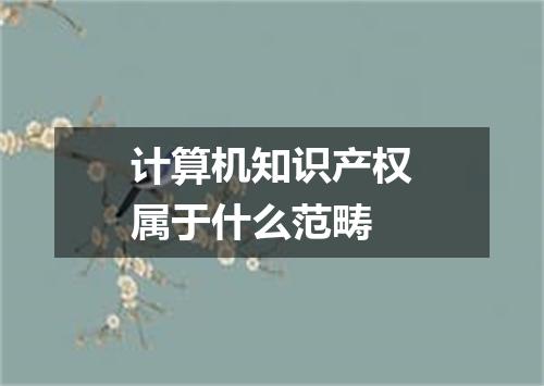 计算机知识产权属于什么范畴