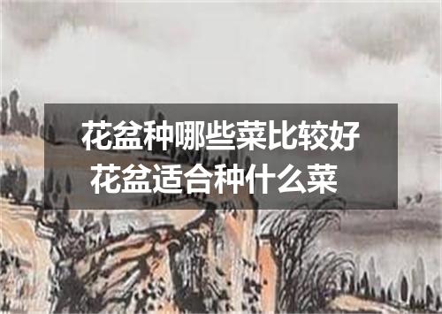 花盆种哪些菜比较好 花盆适合种什么菜
