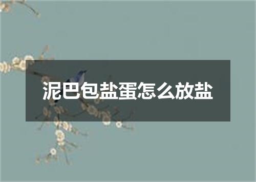 泥巴包盐蛋怎么放盐