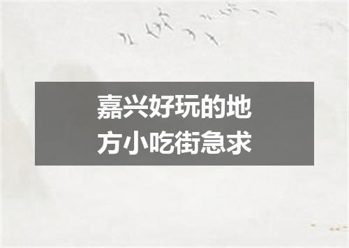 嘉兴好玩的地方小吃街急求