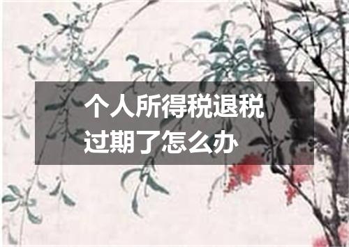 个人所得税退税过期了怎么办