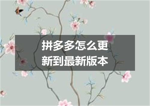 拼多多怎么更新到最新版本