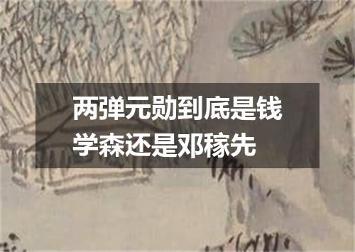 两弹元勋到底是钱学森还是邓稼先