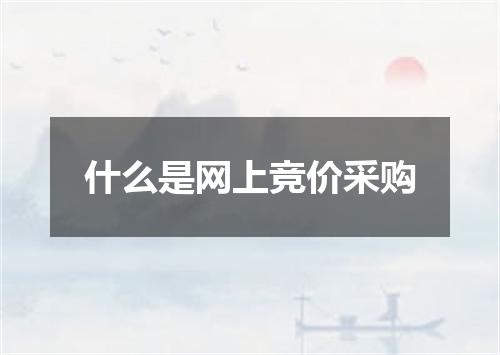 什么是网上竞价采购