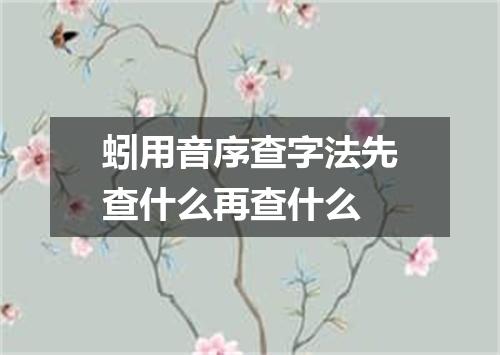 蚓用音序查字法先查什么再查什么