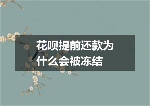 花呗提前还款为什么会被冻结