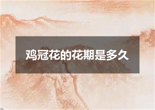 鸡冠花的花期是多久