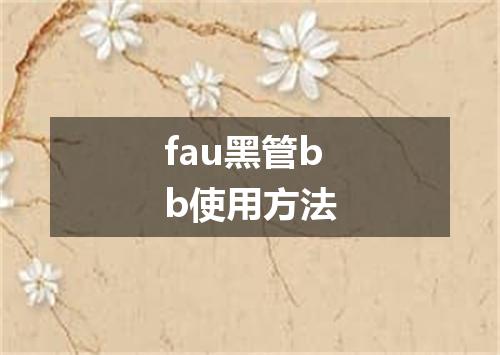 fau黑管bb使用方法