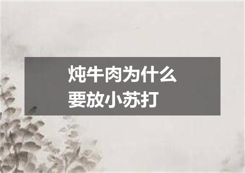 炖牛肉为什么要放小苏打