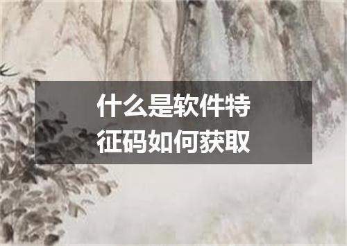什么是软件特征码如何获取