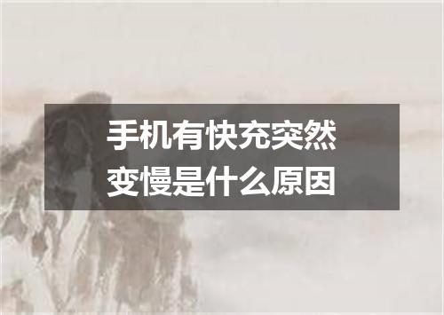 手机有快充突然变慢是什么原因