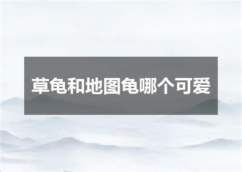 草龟和地图龟哪个可爱