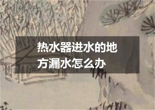 热水器进水的地方漏水怎么办