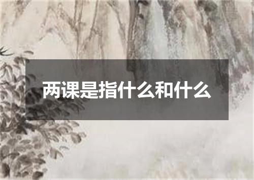 两课是指什么和什么