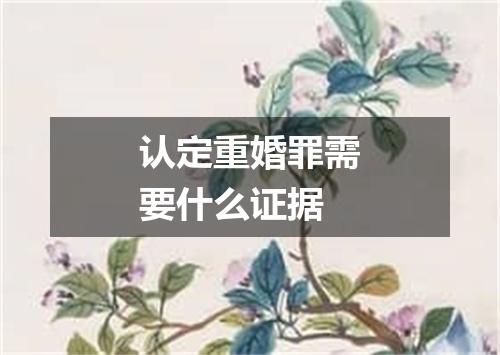认定重婚罪需要什么证据