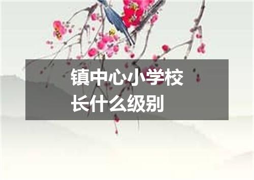 镇中心小学校长什么级别