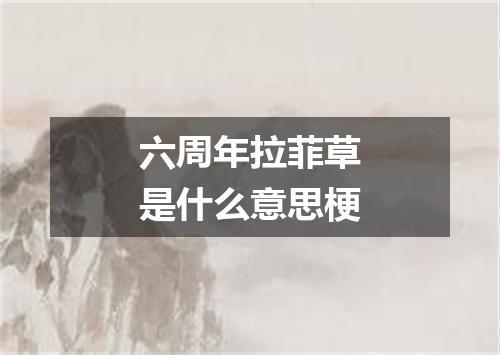 六周年拉菲草是什么意思梗